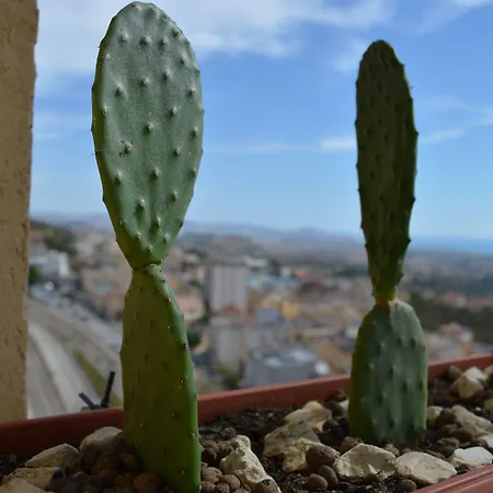 Bed & Breakfast Miravalle Agrigento