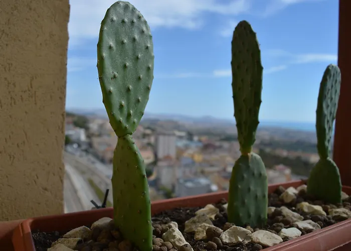 Bed & Breakfast Miravalle Agrigento